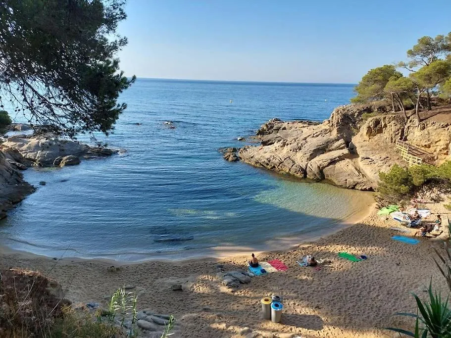 Apartment Bravaholidays-001-Estudio Nept Blanes